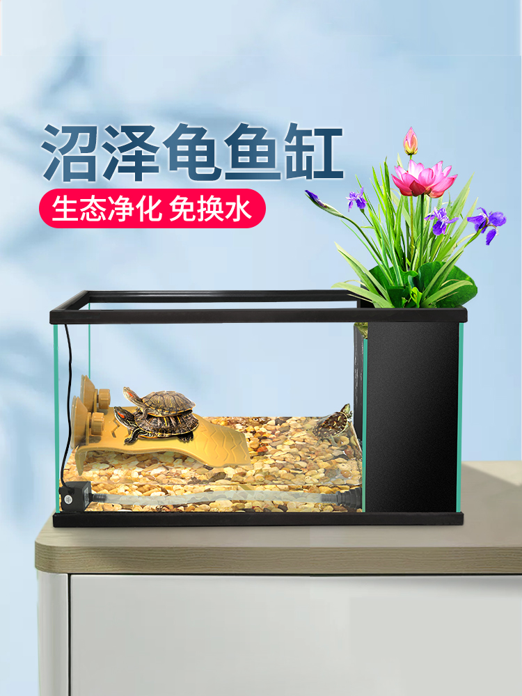 生态沼泽龟缸鱼龟缸混养客厅居家小型家用盆鱼缸过滤器生态乌龟缸