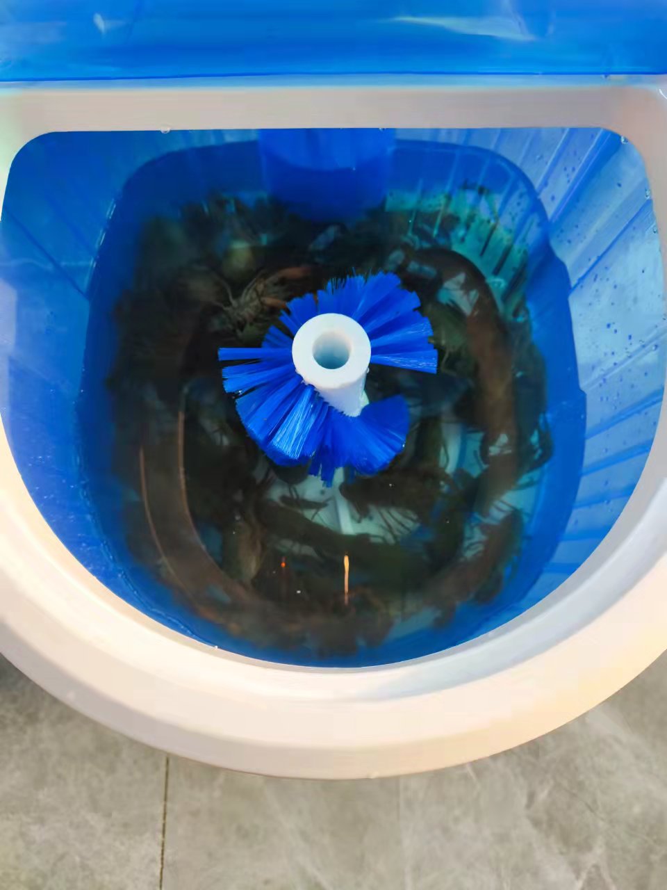 小龙虾清洗机智能神器家用商用洗虾机洗龙虾的机器全自动夜市设备