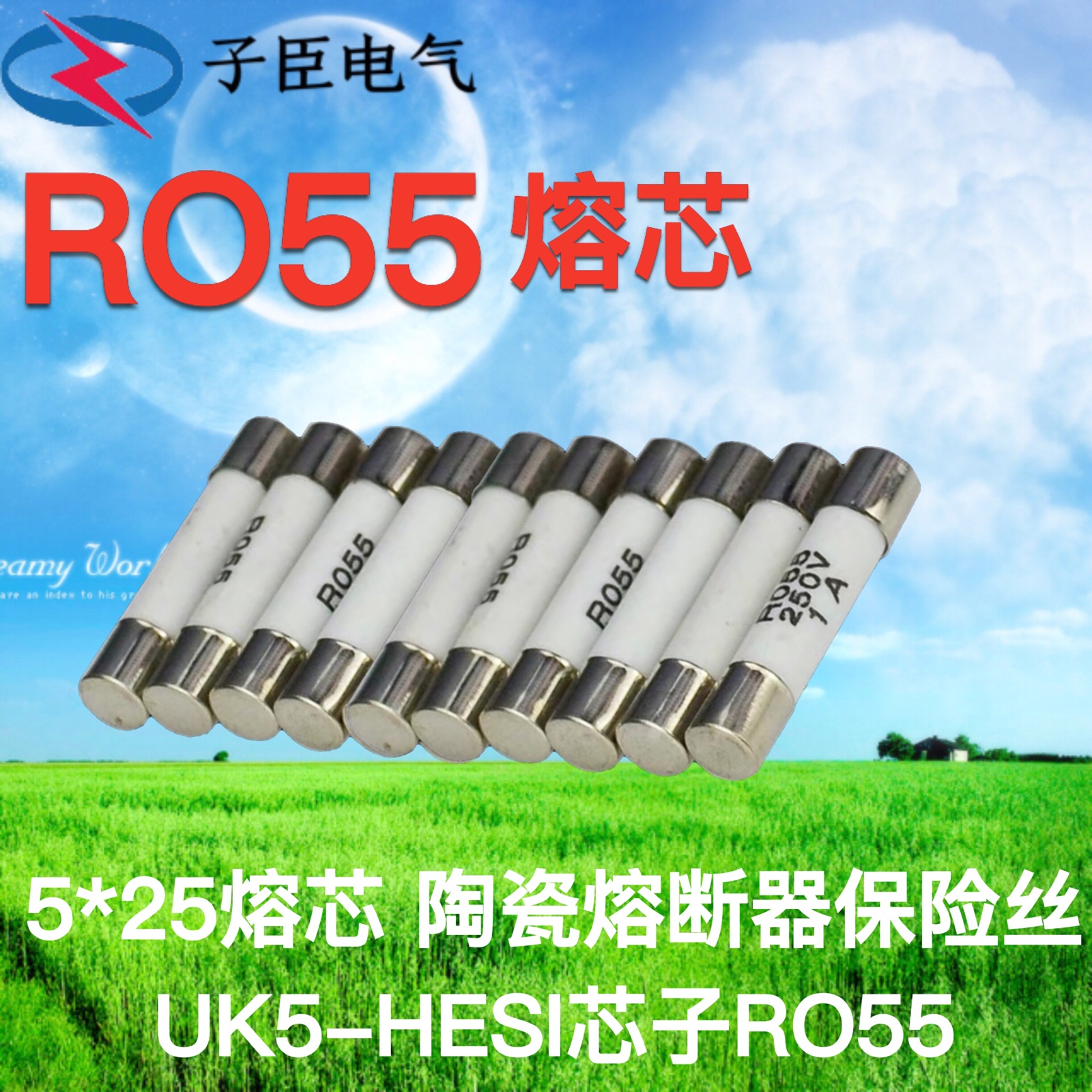 RO55 5*25熔芯6A 5*20陶瓷熔断器保险丝UK5-HESI熔芯6*30玻璃芯子