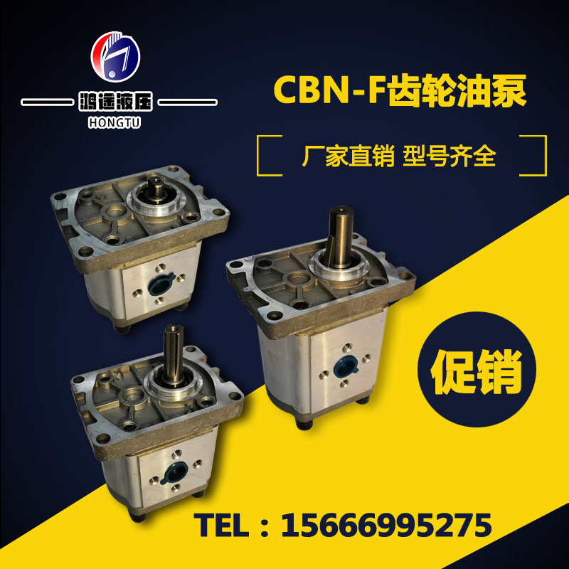 齿轮泵新款整件8台物流包邮油泵CBN-E F0104 31625 液压泵站
