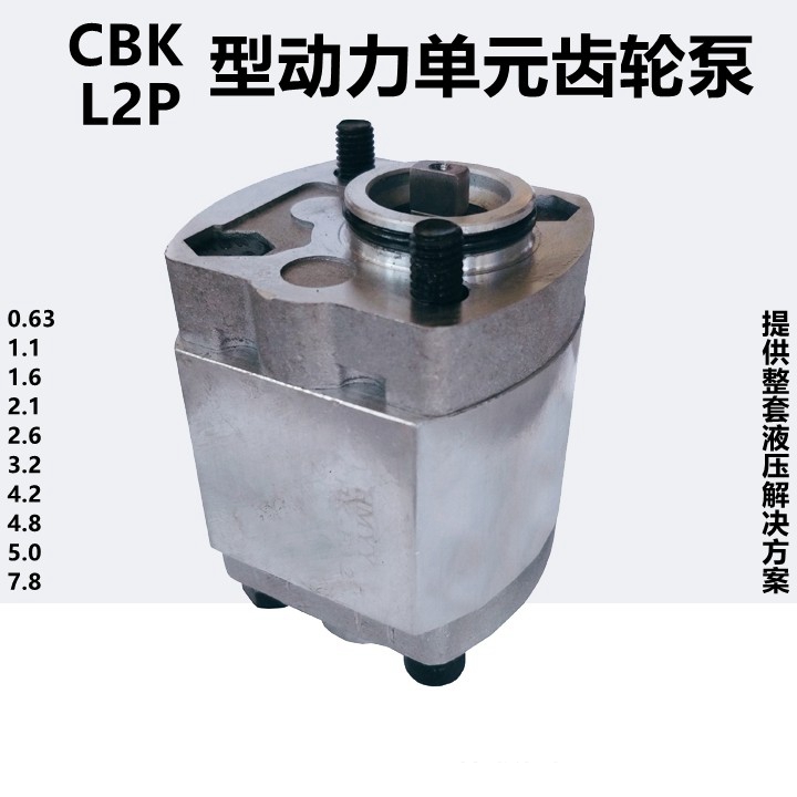 CBK-F4.8 F2.1 F1.1 F2.6 F7.8 F1.6 F4.2 L2P-F5.0 F3.2液压泵