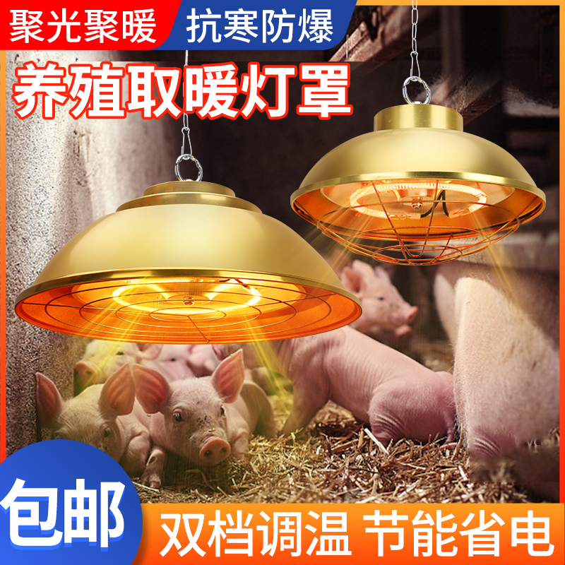 保温灯泡养殖场专用卤素碳纤维保温灯小鸡育雏仔猪用加热烤灯灯罩