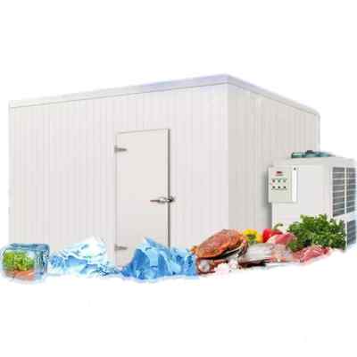极速冷藏库全套设备小型冷藏库果蔬肉类海鲜保鲜冷冻冷藏冷冻制冷