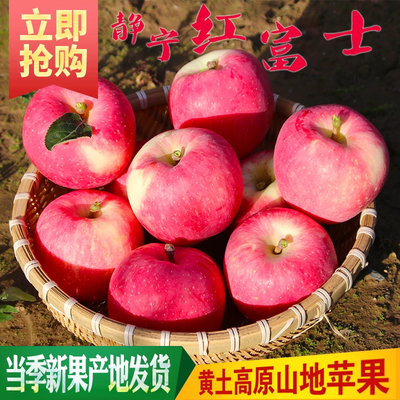 静宁红富士苹果甘肃新鲜现摘脆甜当季水果2022年新摘苹果9斤包邮