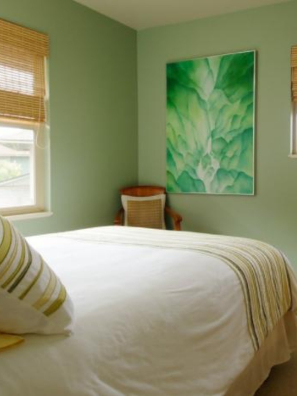 冬净青乳胶漆绿色家装味墙面哑光系室内莴苣内墙保环水性涂料装修