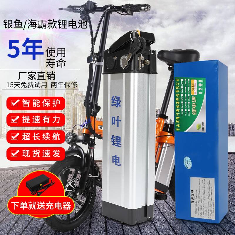 电动车锂电池48v24ah36v伏折叠电动自行车电池银鱼海霸通用可拆卸