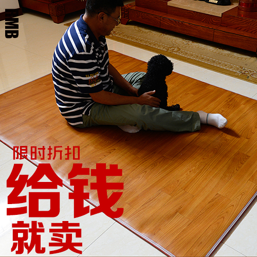 韩国碳晶地暖垫石墨烯电热地毯膜子移动客厅家用发热地板加热地垫