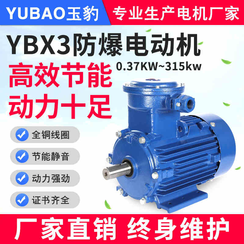 YB隔爆型0.75/1.1/1.5/2.2/3/4/5.5/7.5KW三相380V防爆异步电动机