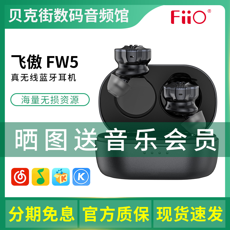 FiiO/飞傲 FW5真无线蓝牙耳机入耳式TWS双耳HiFi运动无线5.2耳塞
