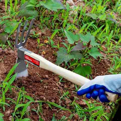 家用两用锄头绣钢农具挖土长把长柄种菜便携工P具小挖地套装不园