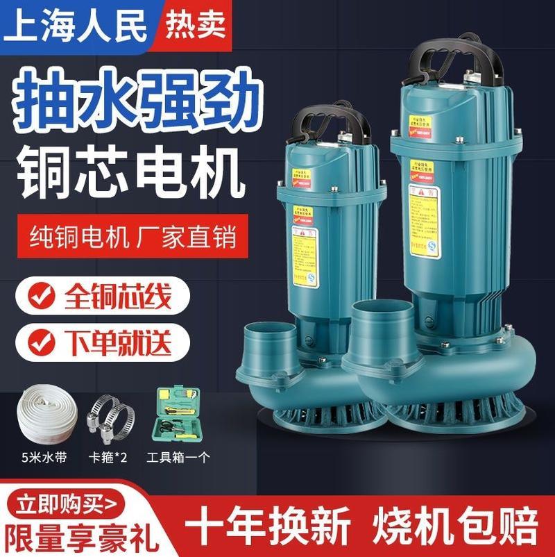 德国进口上海人民3寸4寸潜水泵清水泵220V农用灌溉家用大流量高扬