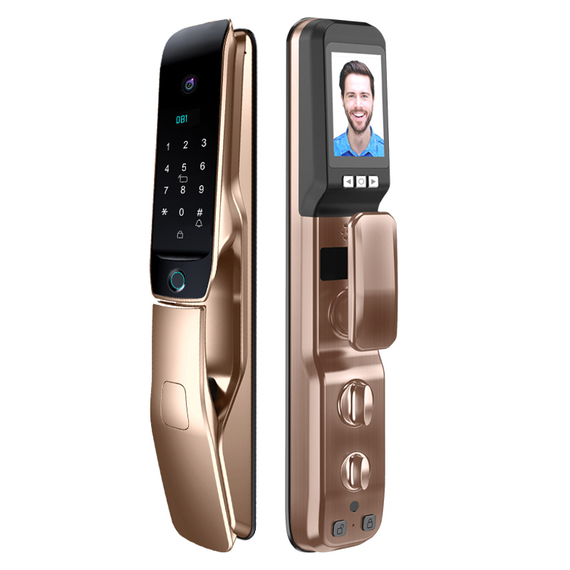 全自动指纹锁带监控摄像头人脸识别智能锁家用防盗门可视电子门锁