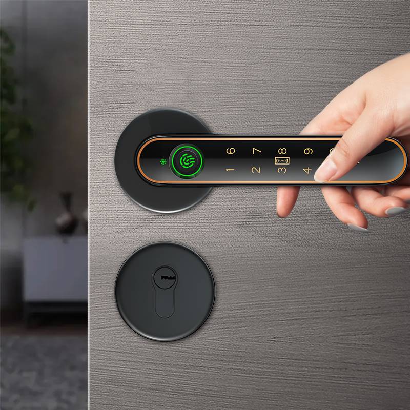室内房间木门指纹密码锁卧室家用办公室智能电子门锁球形分体通用