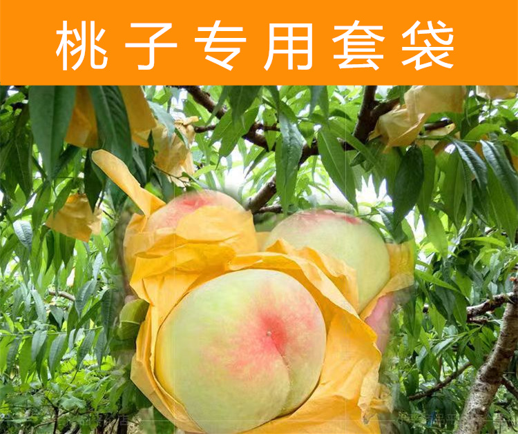 桃子专用套袋橙子油桃毛桃黄桃套袋透气水果套袋果袋水蜜桃袋防虫