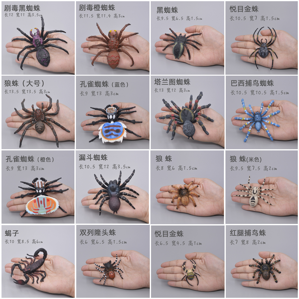 实心动物模型儿童仿真玩具早教套装宝宝认知动物园野生动物蜘蛛
