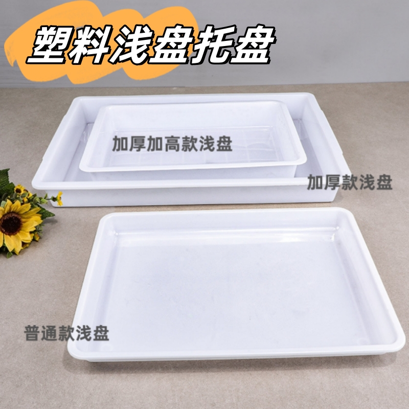 长方形塑料托盘白色餐盘收纳盘幼儿园积木盘展示盘冷冻浅盘接水盘