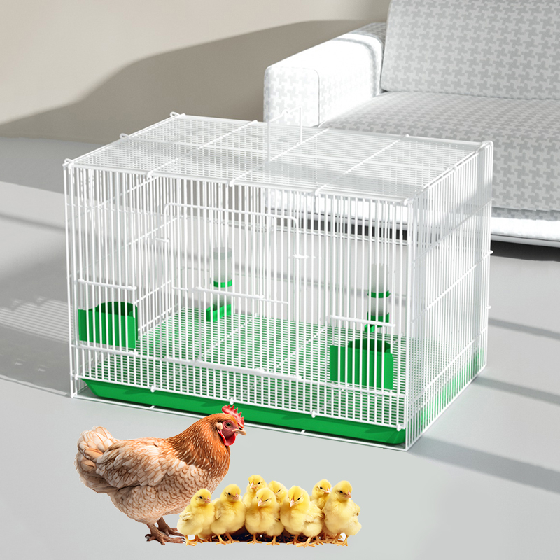 大号加密家养鸡笼子家用小鸡笼芦丁鸡鸽子笼鹌鹑室内鸭笼室外鸽子