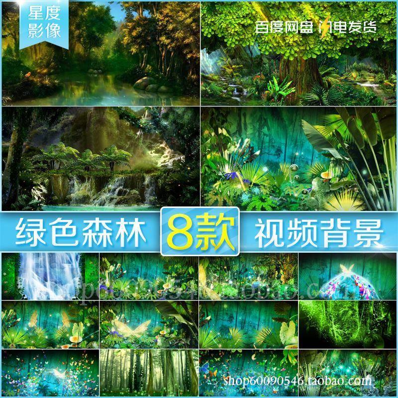 森林系 绿色丛林 热带雨林 蝴蝶 森系婚礼led大屏幕背景视频素材