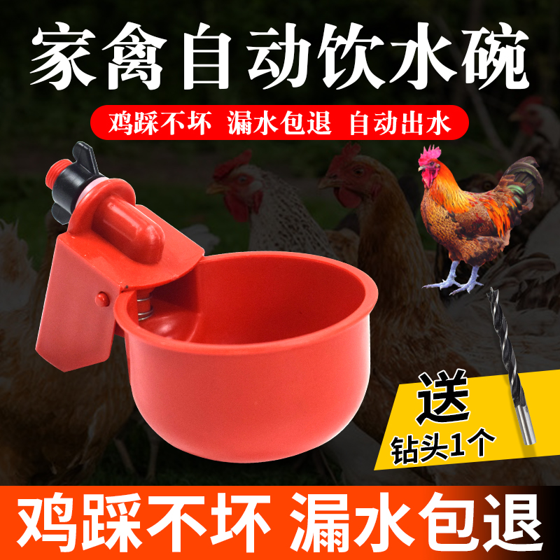 养鸡用自动饮水器鸡鸭鹅饮水碗喝水碗鹌鹑家禽鸟小鸡喂水神器养殖