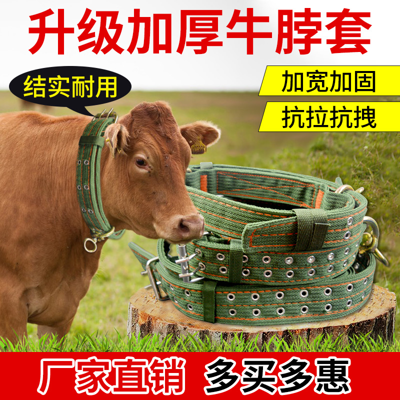 牛脖套拴牛专用牛脖子套绳子牛用品大全保险扣神器育肥牛栓牛脖套