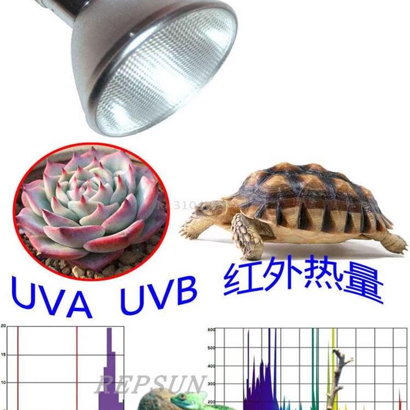 全光谱金卤灯UVB用变压器/HID整流器35W50W70W100W150W电子镇流器