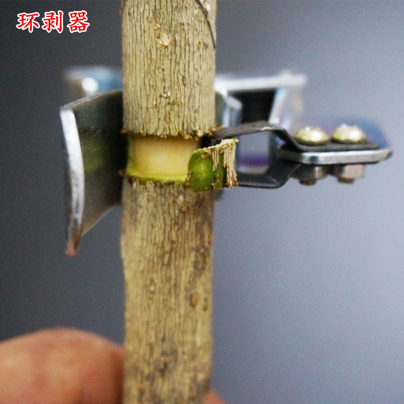 新型1-6厘米树枝环枝剪环剥器环枝刀开夹器割树皮果树枣树环割剪