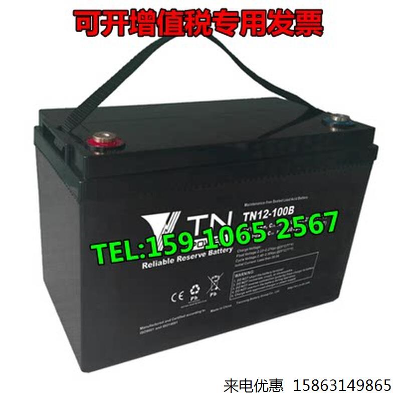 天能蓄电池12V100AH TN12-100直流屏 UPS电源 EPS消防主机 发电厂