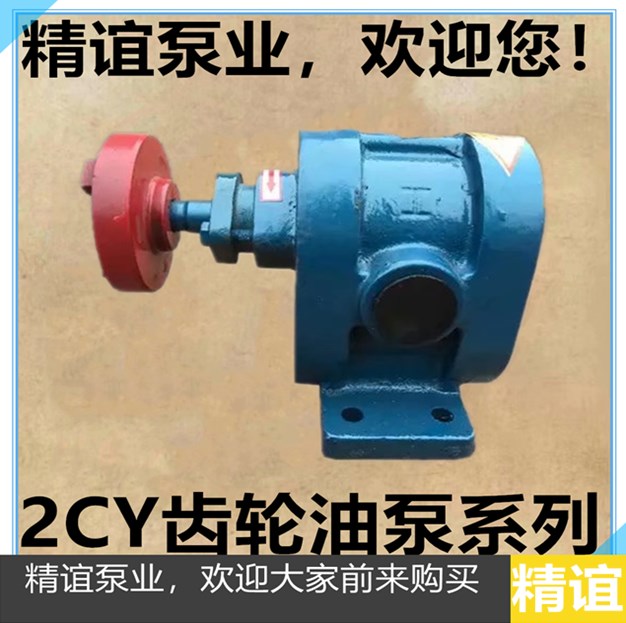 高温齿轮泵2CY1.08/2.5，2.1/2.5，3/2.5齿轮油泵渣油泵自吸泵头