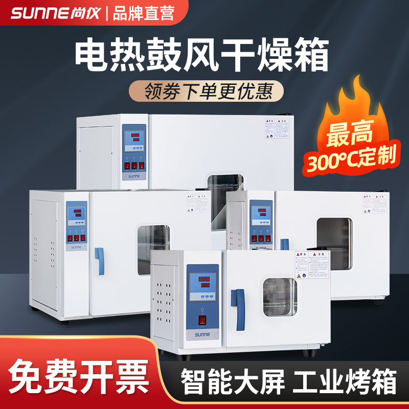 定制上海电热恒温鼓风干燥箱烘箱工业烤箱实验室静音烘干箱烘干机