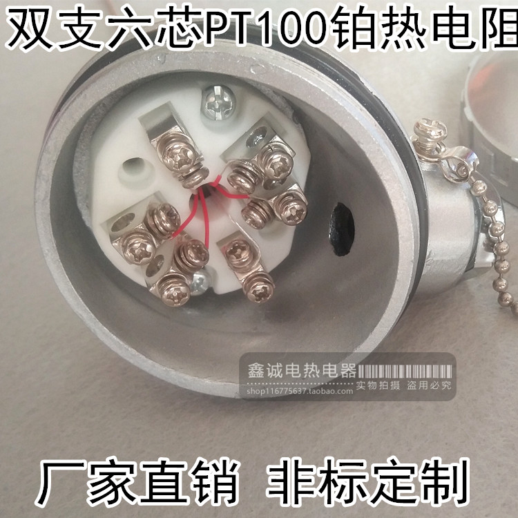 P2-231/230 双支热电阻 PT100铂热电阻 固定螺纹式热电偶 探头
