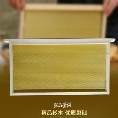 隔王板密养标准塑料巢门小小型中蜂水泥模具定制圆桶中蜂蜂箱平