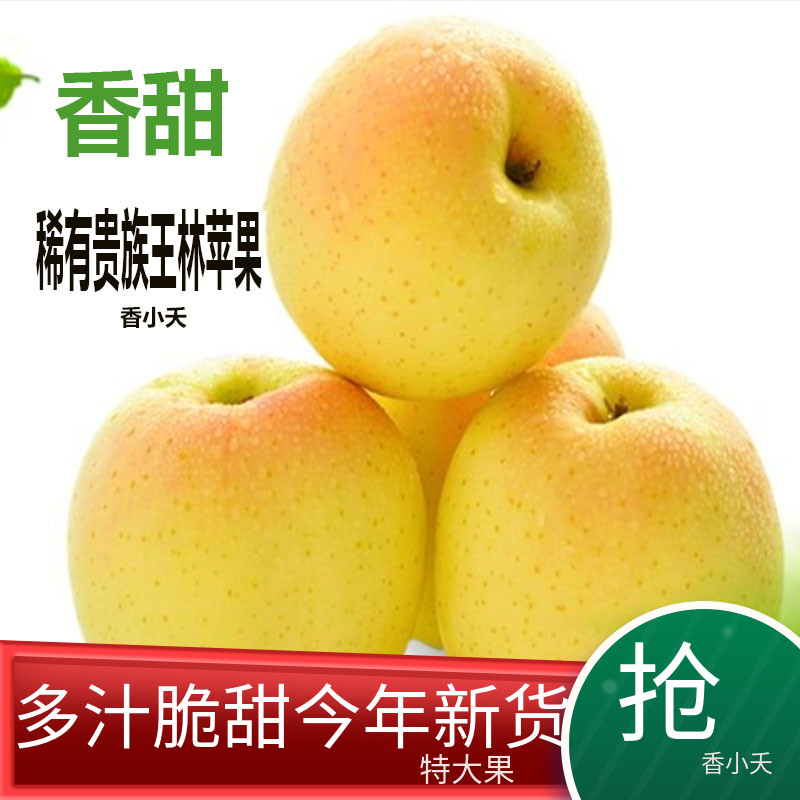 贵族正宗翡翠红王林苹果现摘新鲜孕妇水果送礼日本青森脆甜稀有大