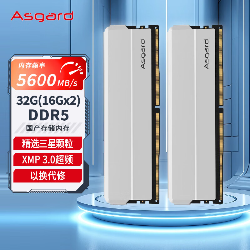 阿斯加特（Asgard）32GB(16GBx2)套装 DDR5 5600 台式机内存 海拉
