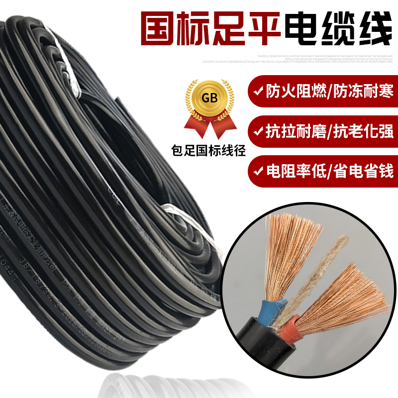 电缆线2芯护套线户外防冻工程软线二芯国标2.5 4 6平方电线电源线