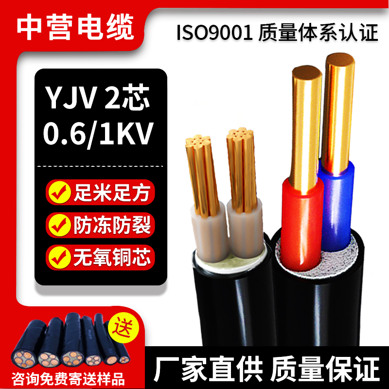 国标纯铜YJV电缆线低压2芯工程架空2.5/4/6/10/16平方充电桩电线