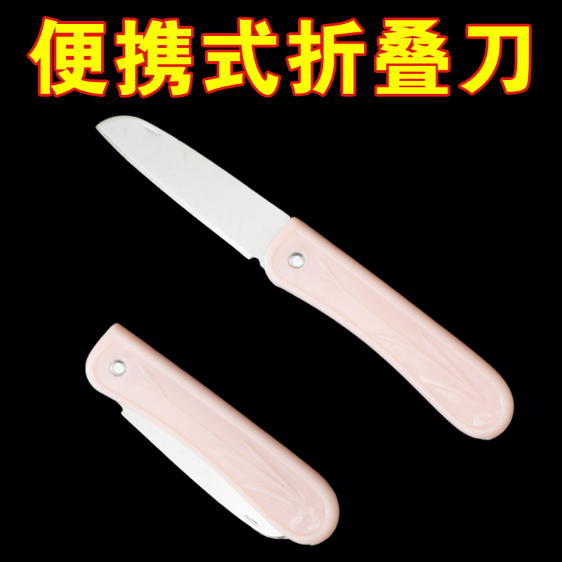 不锈钢水果刀便携式小刀厨房宿舍瓜果刀折叠带刀套锋利