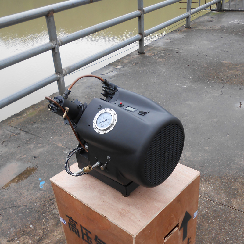 黑猩猩双缸水冷高压打气机打气泵40mpa电动高压充气泵30mpa小型