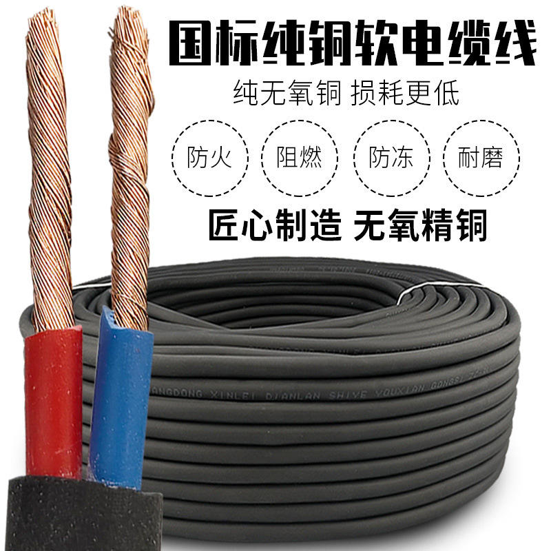 纯铜电缆线户外电源线2芯电线家用国标2.546平方护套线铜芯软线