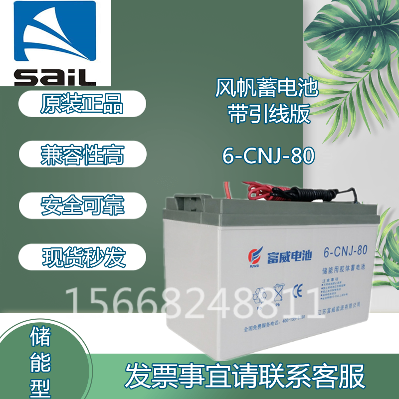 蓄电池带引线型6-CNJ-50/12V50AH太阳能/风能/路灯/免维护/