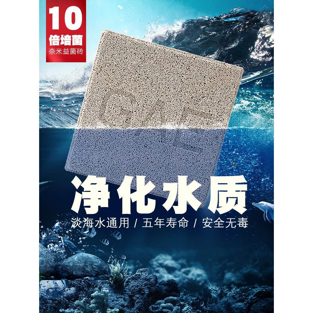 台湾GAE方砖去除NO3神砖no1水族鱼池反硝化细菌鱼缸过滤材料净水
