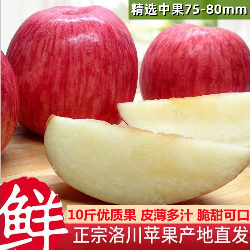 【主播强烈推荐】陕西洛川红富士苹果一级整箱10斤特产精选产地