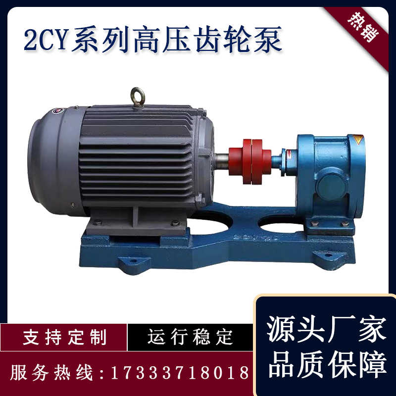 2CY高压齿轮泵高扬程输油泵汽油泵柴油 燃油泵工业增压泵自吸油泵