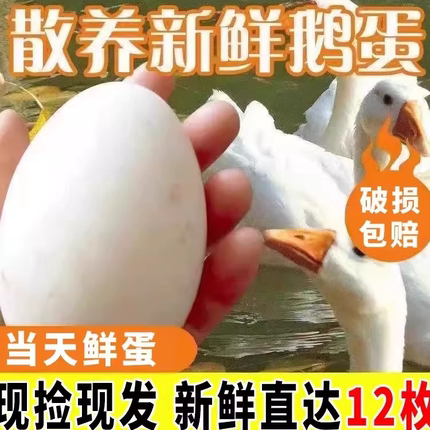 鹅蛋散养12枚新鲜鹅蛋农家正宗土鹅蛋孕妇生鹅蛋初产鹅蛋促销包邮