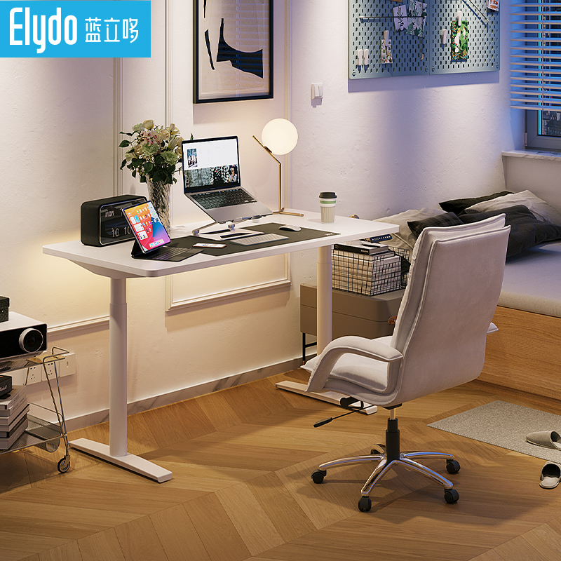 蓝立哆H2c Pro双电机电动升降桌电脑桌 站立式工作台 书桌写字桌