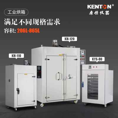 正品康恒工业烘箱可定制 电热鼓风干燥箱 大型热风烤箱商用烘干机