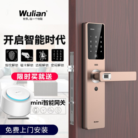 Wulian南京物联 可视锁带摄像头指纹锁电子门密码锁 远程遥控标准
