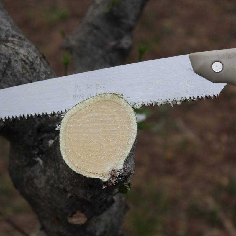 促日本锯手锯伐木锯 修枝锯木工锯 进口腰锯 园林锯 果树锯折叠锯