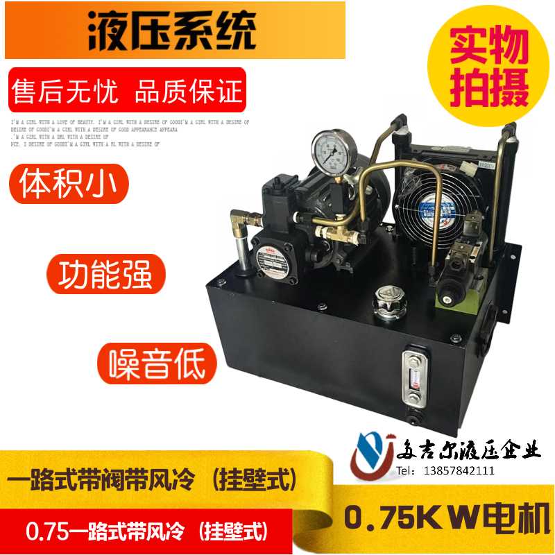 速发0.75kw液压站1.5kw液压系统 数控车床 VP20油泵40L 60L液压泵