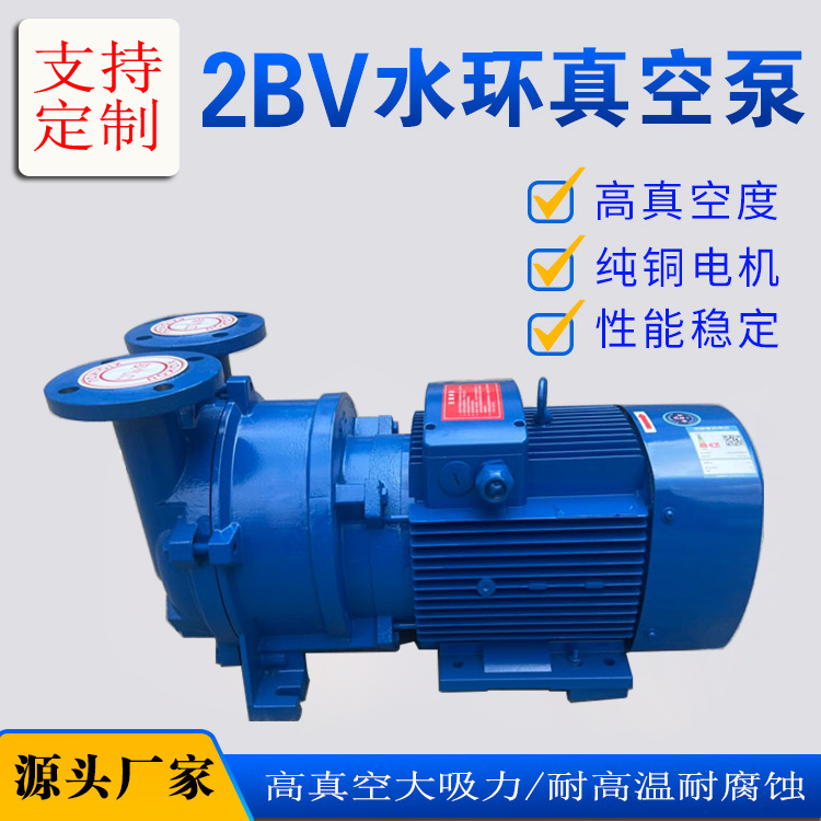 2BV水环式真空泵工业用 CNC雕刻机真空负压泵 铸铁不锈钢厂家直销