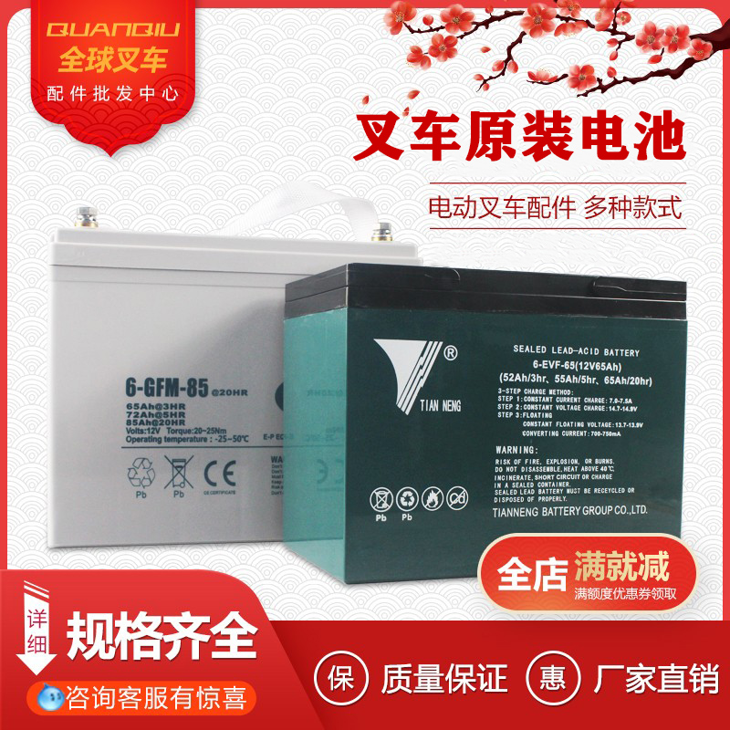 电动叉车电瓶合力杭州搬运车蓄电池12V30A65A85A锂电池40AH